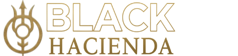 BLACK HACIENDA-THE MAGIC OF CLARITY